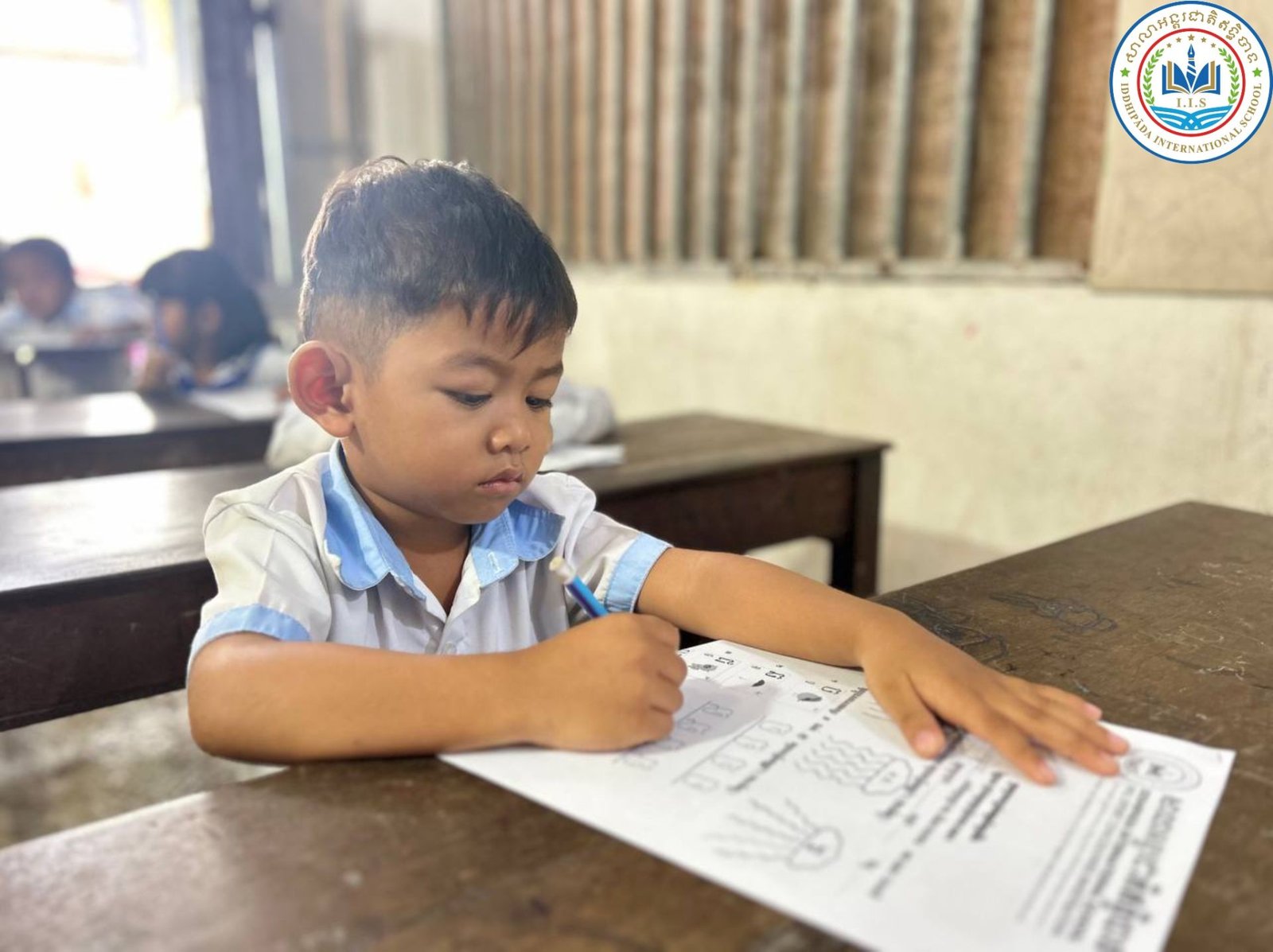 Final Exam Term 6